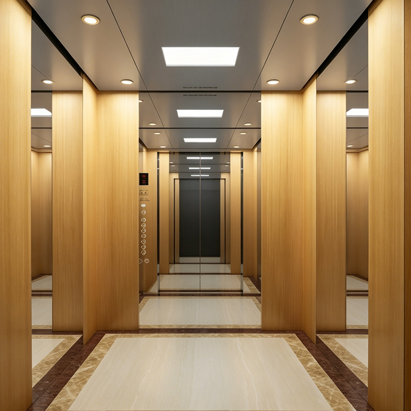 Thang máy chở khách thương mại được hoàn thiện bằng gỗ Veneer