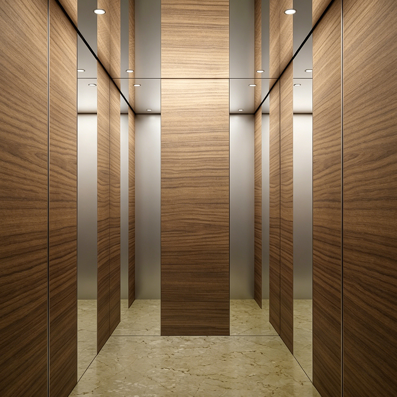 Cabin gỗ Veneer hiện đại Nội thất biệt thự Thang máy chở khách